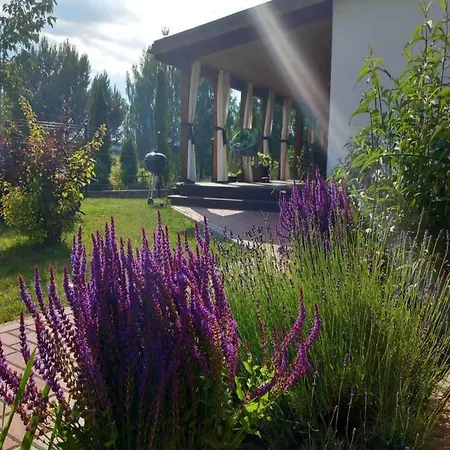 Near Baltic Sea And Forest Ferienhaus