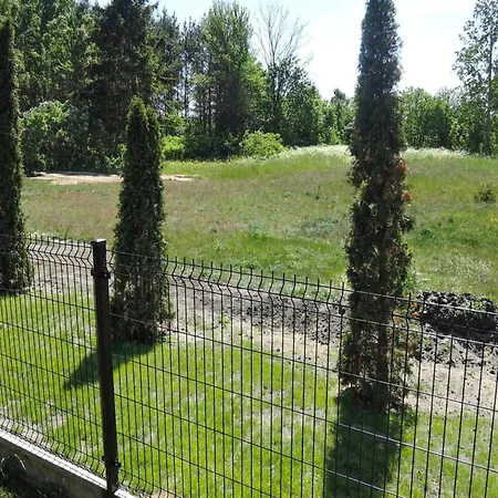 Near Baltic Sea And Forest