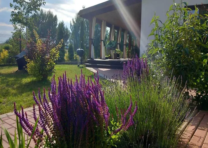 Near Baltic Sea And Forest Semesterbostad