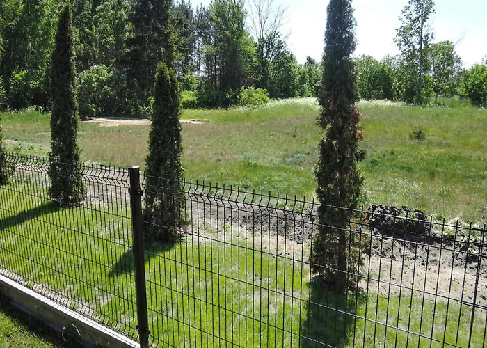 Near Baltic Sea And Forest