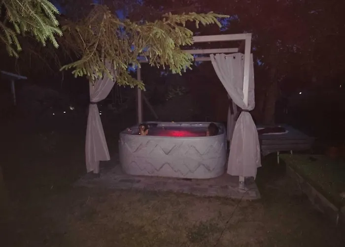 Near Baltic Sea And Forest *